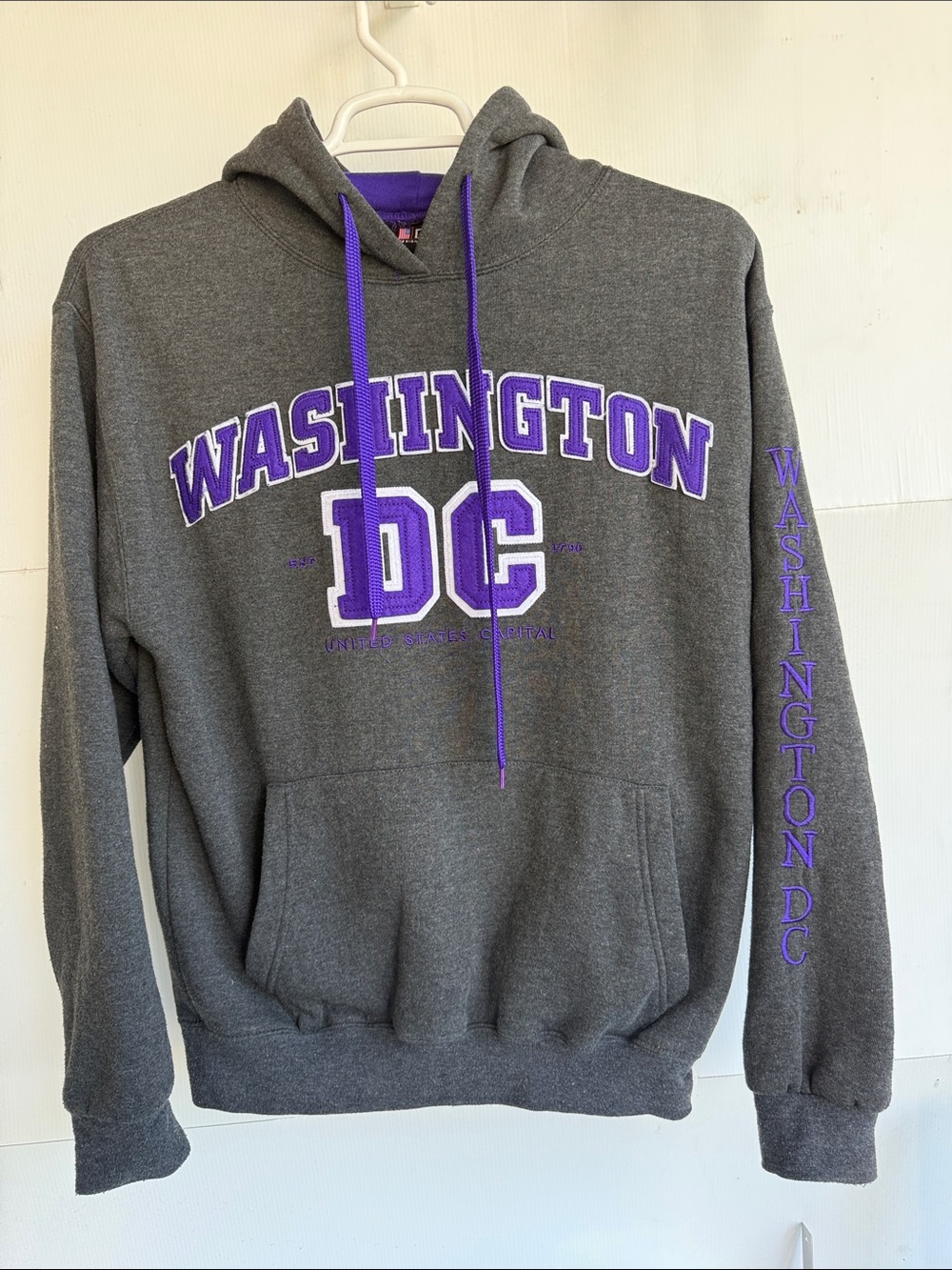 WASHINGTON DC OFFICIAL PULLOVER HOODIE CHARCOAL GRAY PURPLE SIZE L VERY GOOD USA